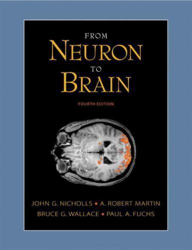 From Neuron to Brain: A Cellular and Molecular Approach to the Function of…
