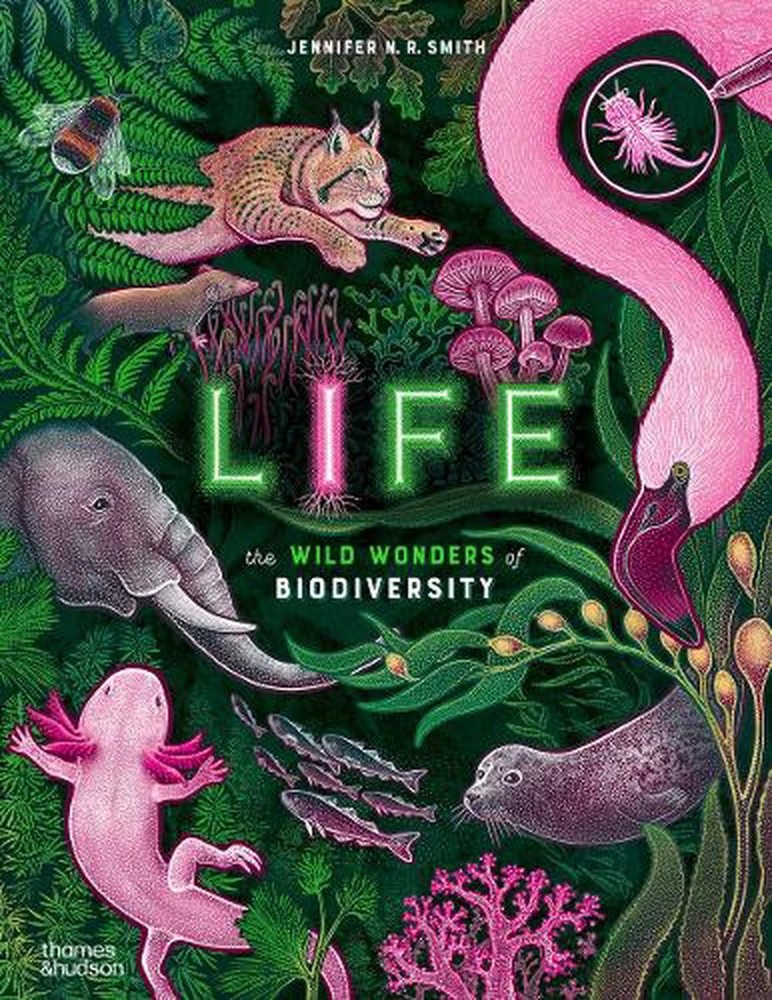 Life: The wild wonders of biodiversity by Jennifer N.R. Smith Hardcover Book
