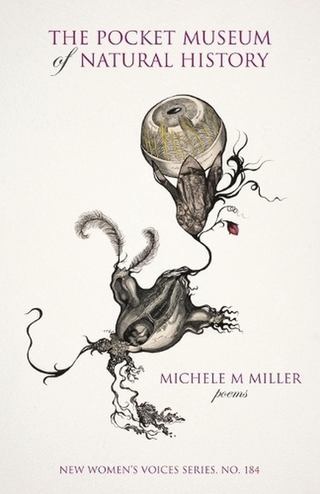 The Pocket Museum of Natural History by Michele M. Miller Paperback Book