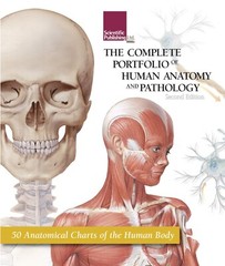 “The Complete Portfolio of Human Anatomy and Pathology”
