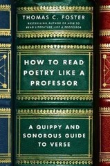 HOW TO READ POETRY LIKE A PROFESSOR by Thomas C Foster Paperback Self Help