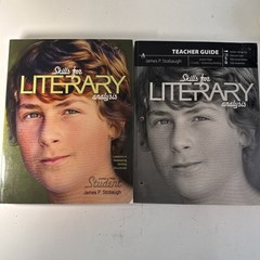 Skills for Literary Analysis Teacher Guide & Student Book, MasterBooks- Stobaugh