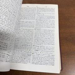 The New Brown, Driver, Briggs Gesenius: Hebrew & English Lexicon