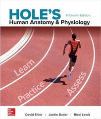 Holes Human Anatomy and Physiology – Hardcover By David Shier – GOOD