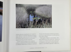2002 Discovering Alabama Wetlands Doug Philips Signed Photography Nature HCDJ