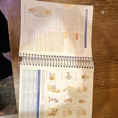 Pearson Human Anatomy & Physiology Lab Manual Fetal Pig Ver 13th Spiral 2016