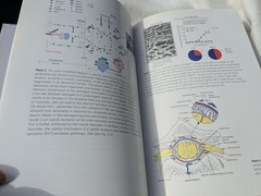 Interventional Pain Control in Cancer Pain Management Oxford Hester Sykes PeatHC