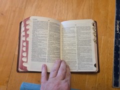 Dorland’s Pocket Medical Dictionary by Newman W. Dorland (1982, Hardcover)