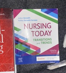 Nursing Today : Transition and Trends by Ashley Zerwekh Garneau and JoAnn…