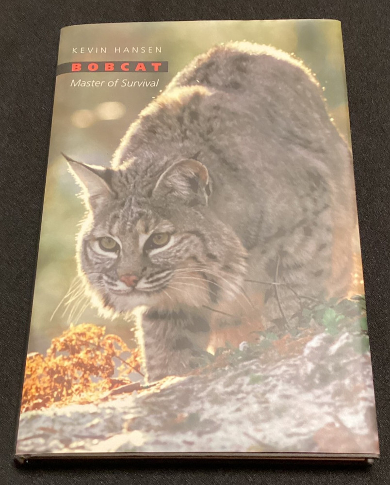 Bobcat Master Survival Kevin Hansen HC Wild Animal Feline Resilient Hunting