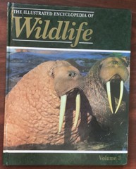 THE ILLUSTRATED ENCYCLOPAEDIA OF WILDLIFE Volume 3 – Pages 121-180 – Hardback 📚