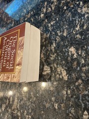 The Social Origins of Christian Architecture VOL I-II By L. Michael White SIGNED
