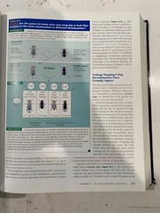 Campbell Biology Websites Ser.: Biology by Jane B. Reece, Manuel Molles, Neil A.