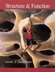 Structure and Function of the Human Body Paperback