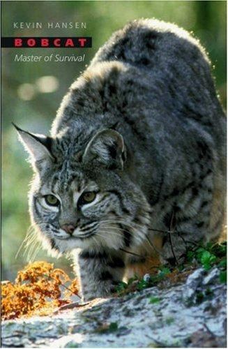 Bobcat: Master of Survival by Hansen