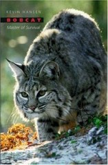 Bobcat: Master of Survival by Hansen