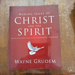 Making Sense of Ser.: Making Sense of Christ and the Spirit : One of Seven Parts