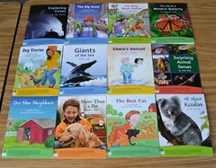 FOUNTAS & PINNELL Grades K-2 Leveled Readers A-N Benchmark Assessment System 1