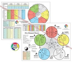 The Five Elements of Acupuncture Points Chart 8.5″ X 11″ TCM Laminated