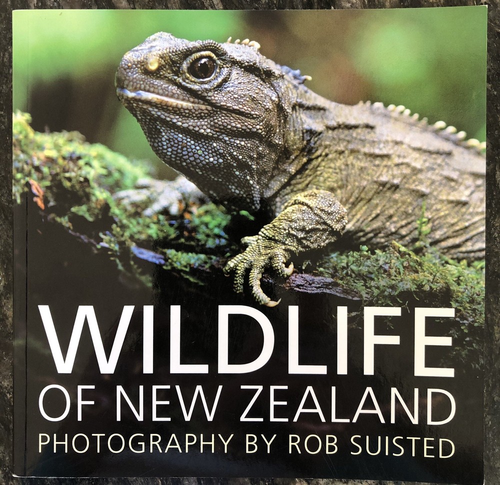 Wildlife of New Zealand, Photography by Rob Suisted