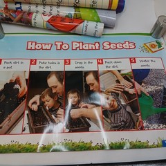 McGraw Hill Reading Wonders Teaching Posters Set of 20 Posters Double Sided