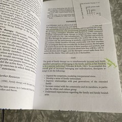 Family Therapy Techniques: Integrating and Tailoring Treatment Routledge 2005 UK