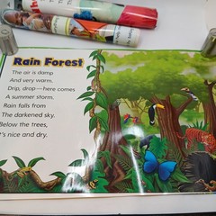 McGraw Hill Reading Wonders Teaching Posters Set of 20 Posters Double Sided