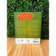 Visible Learning for Mathematics Grades K-12 John Hattie Corwin Math Series Book