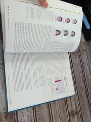 Social Psychology Textbook Saul Kassin Hazel Rose Markus Steven Fein 2024