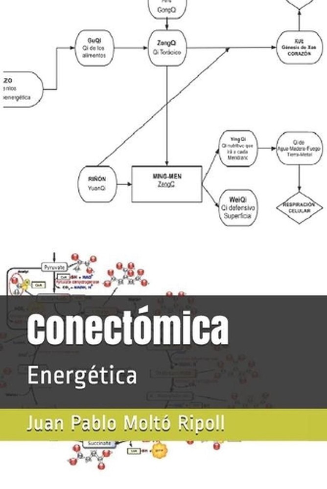 Conectmica: Energ?tica by Juan Pablo Molto (Spanish) Paperback Book