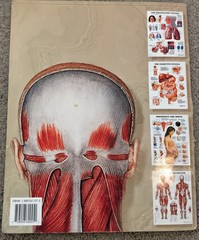 System Structures & Diseases Disorders (The Worlds Best Anatomical Chart Books)