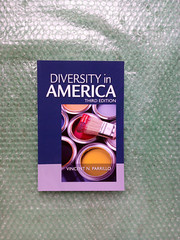 Diversity In America