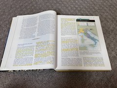 The Western Heritage Since 1300, AP Edition