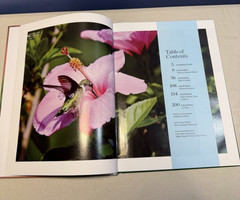 Birds Birds Birds: Boreal Birds of North America/Birds in Bloom/Canaries..LOTOF5
