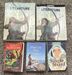 BJU Perspectives in Literature 6 Grade Textbook + Activities Workbook + 3 Novels