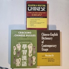 Lot Of 3 Chinese Learning Books Reading & Writing Systems Puzzles Dictionary
