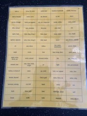Vocabulary Vine – Word Roots & Definitions Bingo & Magnetic US States Puzzle