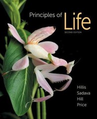 Principles of Life by Hillis, David M.; Sadava, David E.; Hill, Richard W.