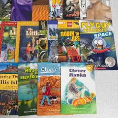 Lot of 30 Assorted Grades 1-3 Learning To Read Homeschooling Education Books