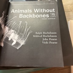 New Plan Texts at the University of Chicago Ser.: Animals Without Backbones : An