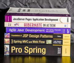Java Technologies lot, Hibernate, Agile, JSP, Spring, APRESS + Other publishers