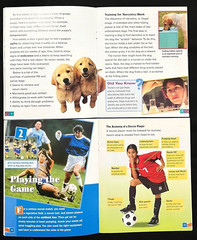 4th – 6th Grades – EXPLORE MORE – FLUENT READERS (13 books) (2005, Wright Group)