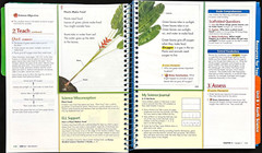 1st Grade- SCIENCE TEACHER MANUAL (Vol 1) DIAMOND EDITION (2008, Scott Foresman)