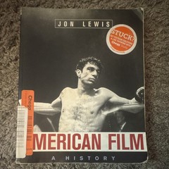 W. W. Norton American Film: A History Jon Lewis 2nd Ed 2002 Paperback 500p
