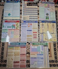 Lot of 8 Quick Study Academic Reference Guides BIOLOGY Chemistry PHYSIOLOGY