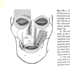 Vintage Reanimation of The Paralyzed Face Book Hardcover Leonard R. Rubin 1977