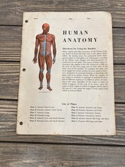 Vintage 1940s Human Anatomy Illustrated Loose Leaf Plates C.S. Hammond Reference