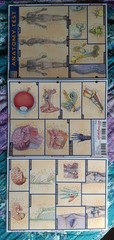 3 “Anatamy” aminated Fold Out -Quick Study Academic Bar Charts Inc Vincent Perez