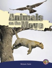PM Extras Non-Fiction Sapphire: On the Move Pack (6 titles) by Julie Various Pap