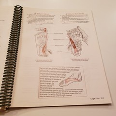 Trail Guide to the Body Locate Muscles Bones Biel Andrew Anatomy 2nd Edition